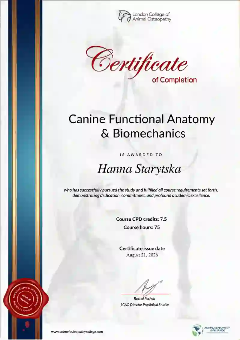 Functional Anatomy & Biomechanics