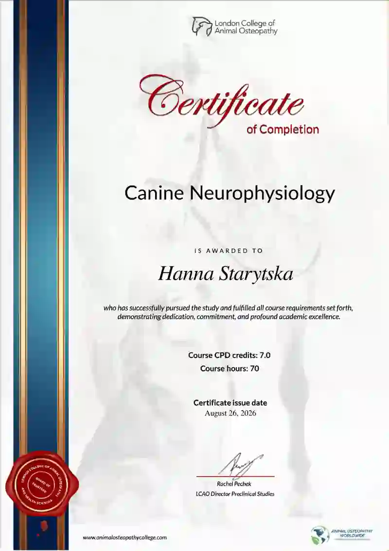 Neuro-Perceptive Osteopathy & Soft Tissue