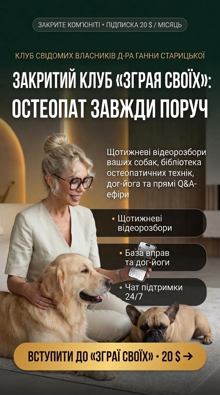 Продукт 03 Story 9:16 — Клуб Зграя Своїх 20$