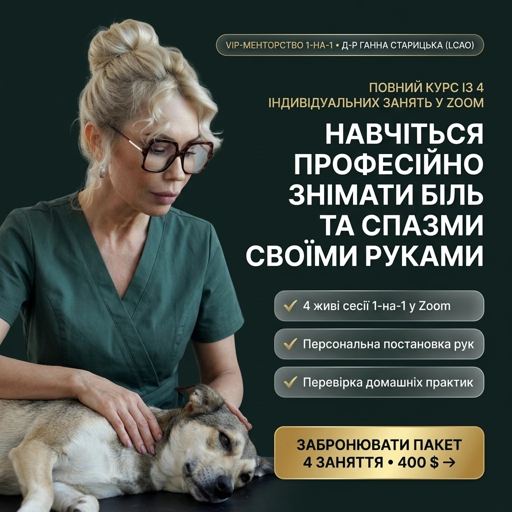 Продукт 05 Feed 1:1 — 4 Базові Остеопатичні Заняття 1-на-1 (400$)