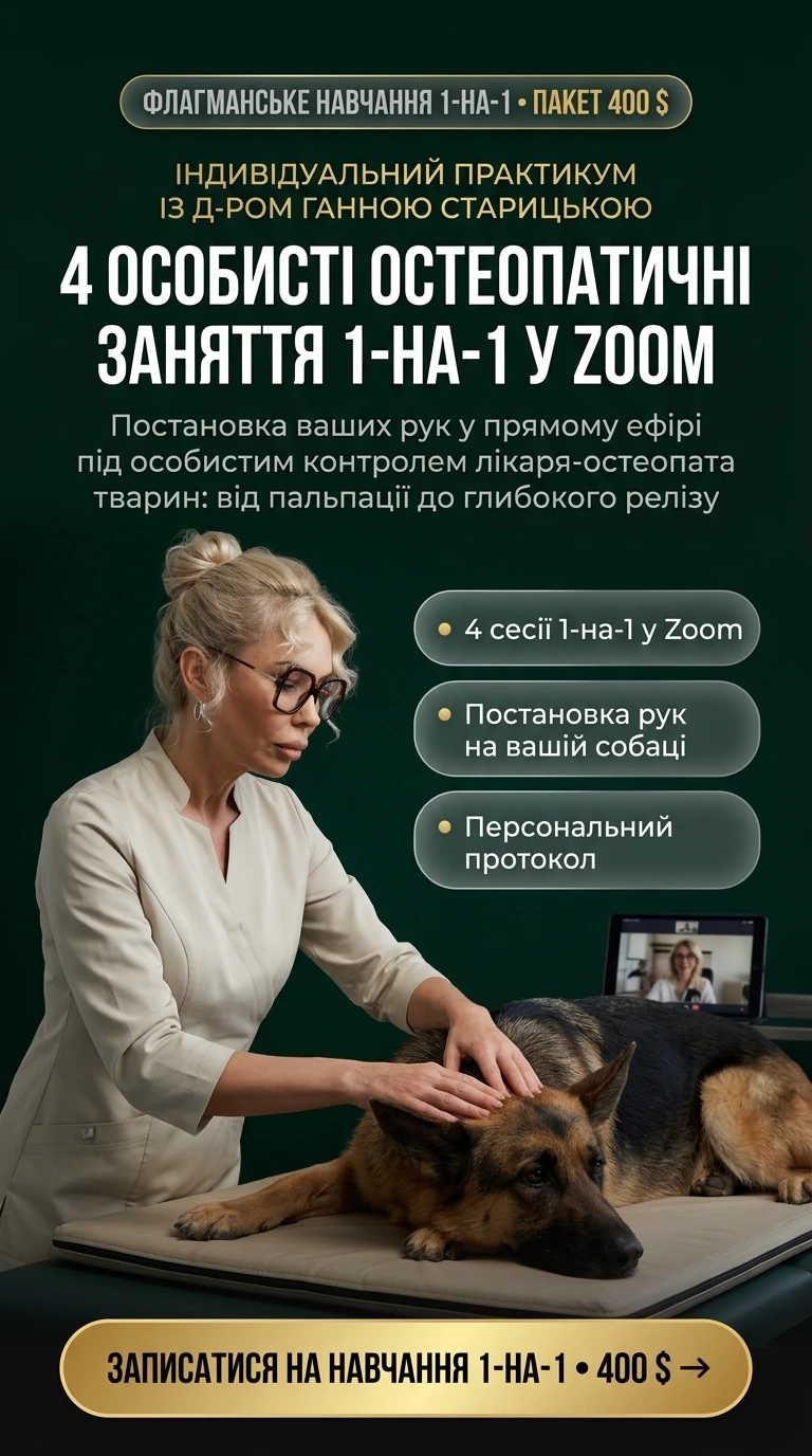 Продукт 05 Story 9:16 — 4 Базові Остеопатичні Заняття 1-на-1 (400$)
